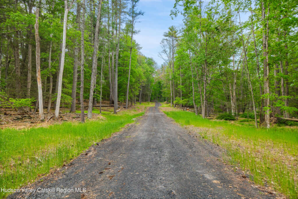 209 Beaverkill Road, Kingston, NY 12401 - Photo 40 of 44