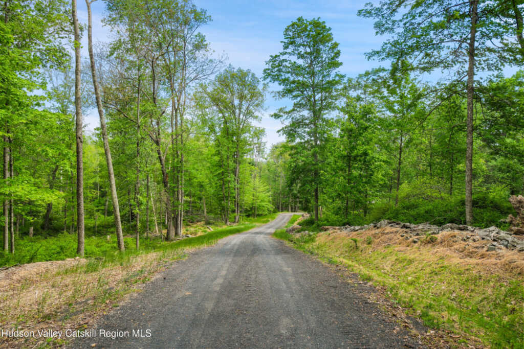 209 Beaverkill Road, Kingston, NY 12401 - Photo 42 of 44