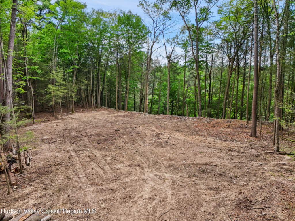209 Beaverkill Road, Kingston, NY 12401 - Photo 6 of 44