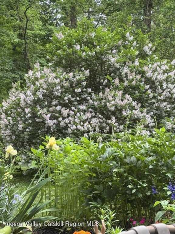 118 Maple Hill Drive, Rosendale, NY 12472 - Photo 31 of 41