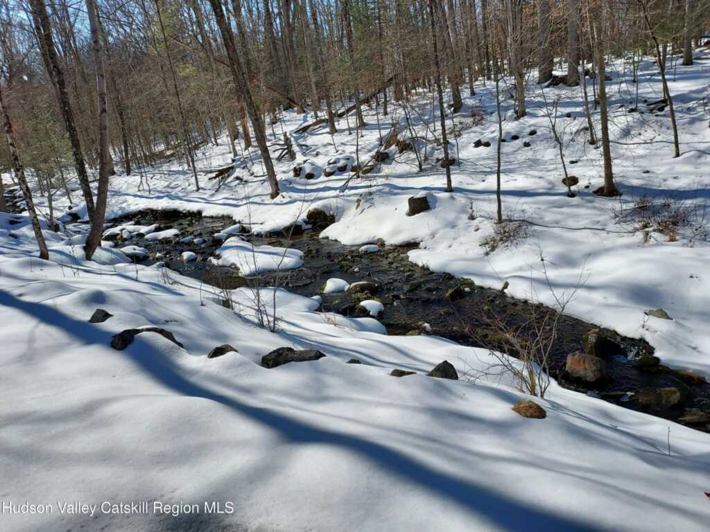 316 Mohonk Road, High Falls, NY 12440 - Photo 22 of 23
