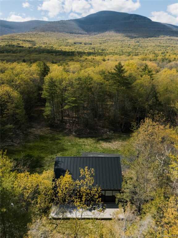 115 Goat Hill Road, Saugerties, NY 12477 - Photo 3 of 20