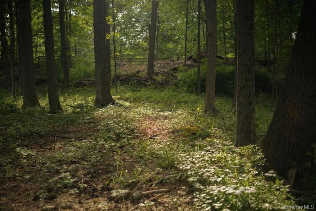 1231 Route 308, Rhinebeck, NY 12572 - Photo 27 of 45