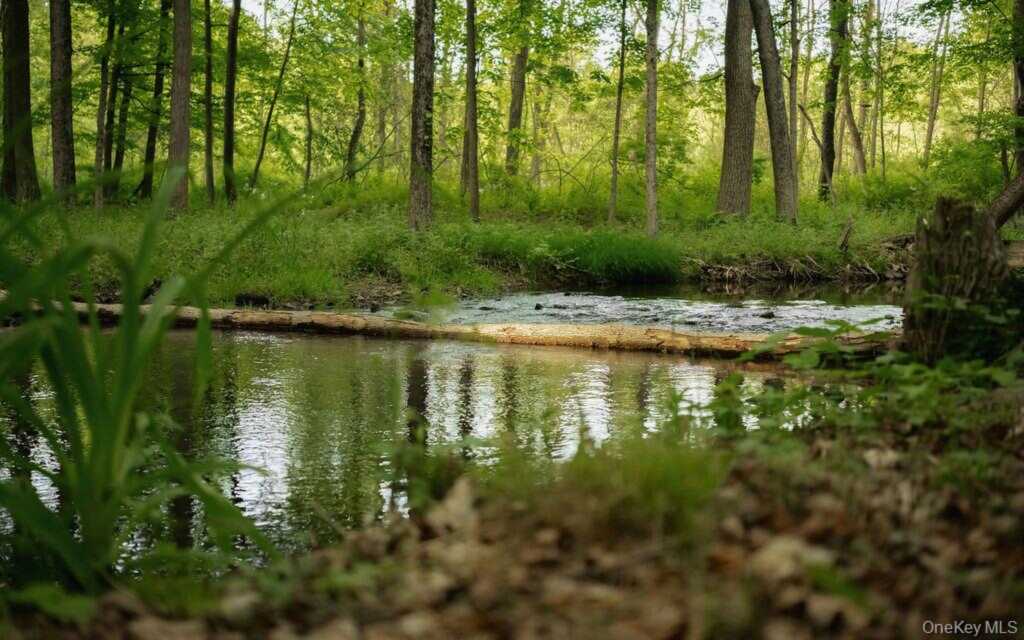 1231 Route 308, Rhinebeck, NY 12572 - Photo 29 of 45