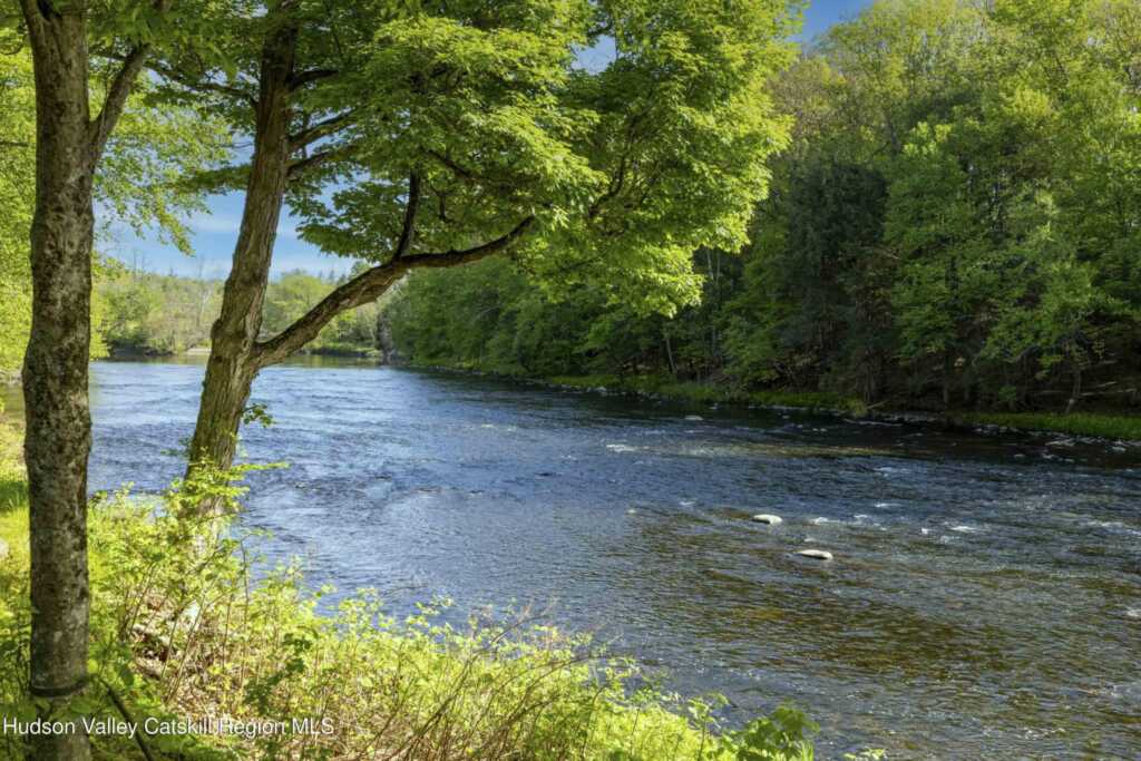 31 Cabin Lane, High Falls, NY 12440 - Photo 3 of 50
