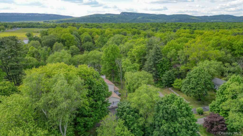 3 Unity Lane, New Paltz, NY 12561 - Photo 45 of 46