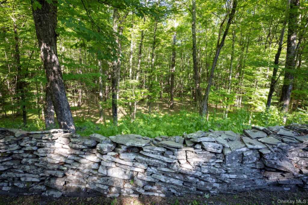 19 Blues Quarry, Woodstock, NY 12498 - Photo 29 of 37