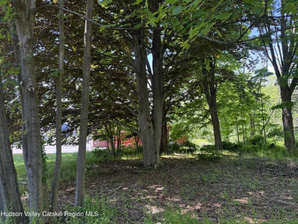 52 Marys Avenue, Kingston, NY 12401 - Photo 27 of 32