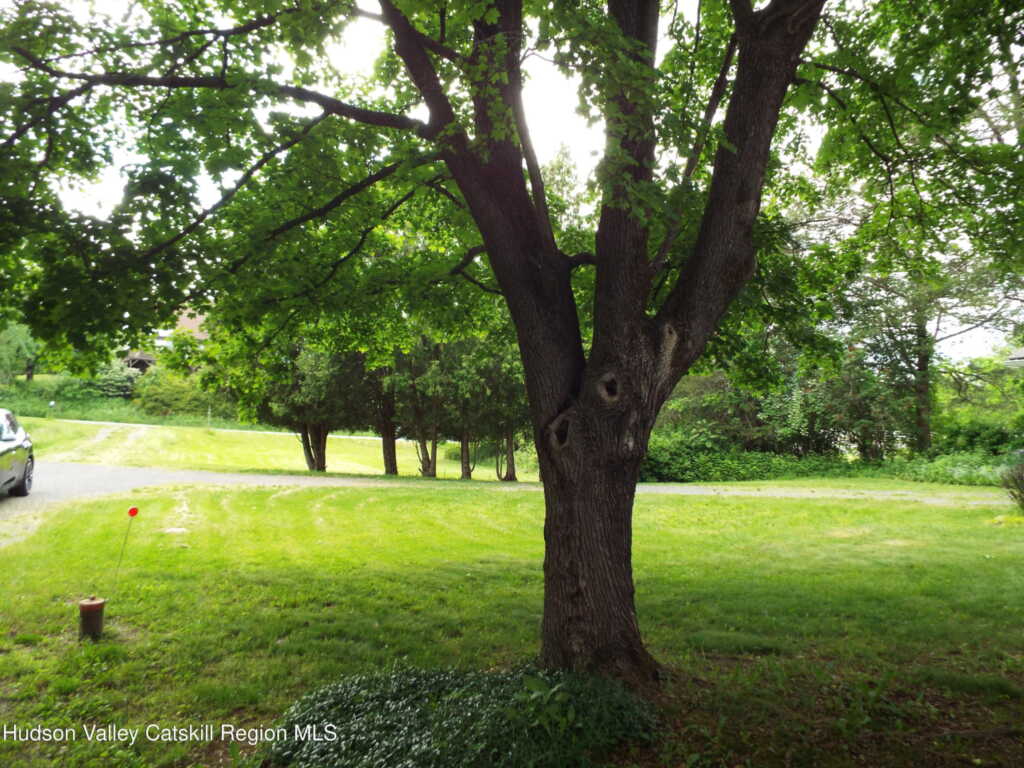 3916 Rt. 9w, Saugerties, NY 12477 - Photo 6 of 22