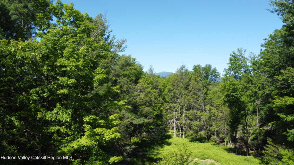890 Lapla Road, Kingston, NY 12401 - Photo 15 of 20