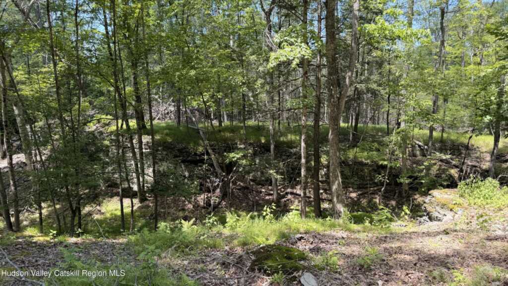 890 Lapla Road, Kingston, NY 12401 - Photo 19 of 20