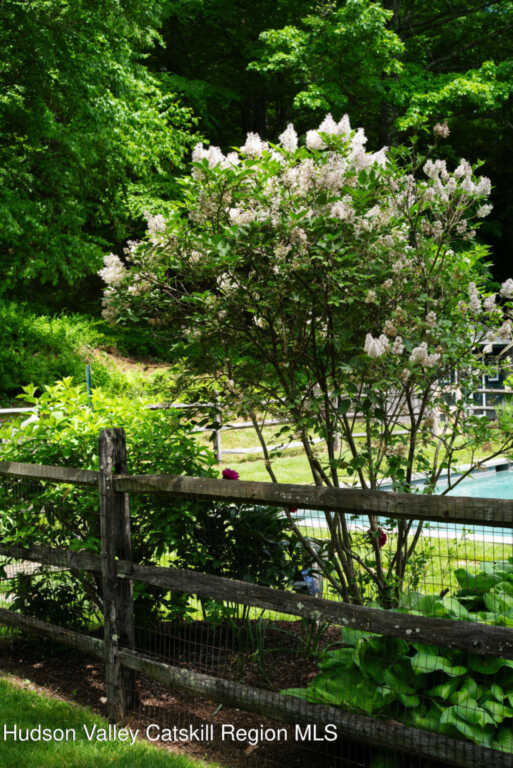 85 Frost Road, Rhinebeck, NY 12572 - Photo 26 of 31
