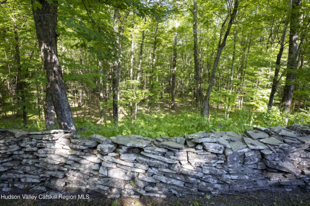 19 Blues Quarry Road, Woodstock, NY 12498 - Photo 34 of 42