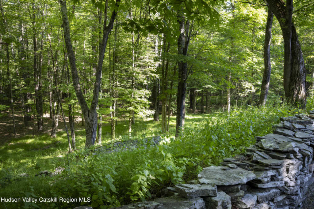 19 Blues Quarry Road, Woodstock, NY 12498 - Photo 35 of 42