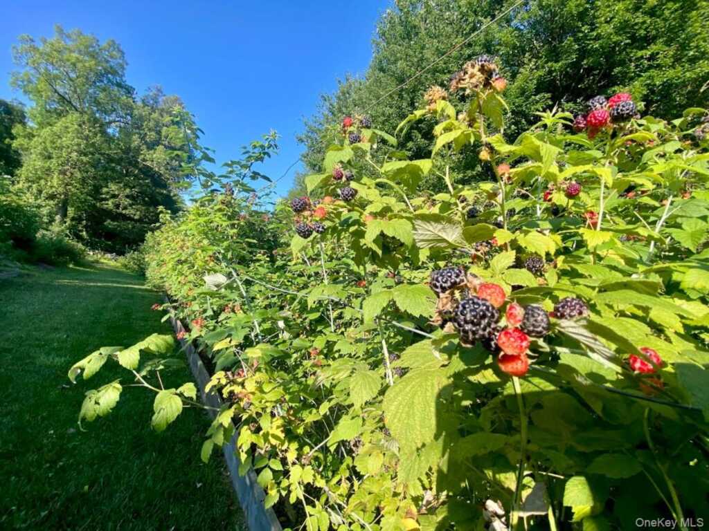434 Joys Lane, Hurley, NY 12443 - Photo 28 of 50