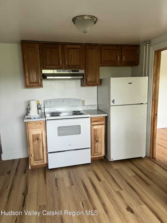 10 Orchard Lane, New Paltz, NY 12561 - Photo 3 of 12