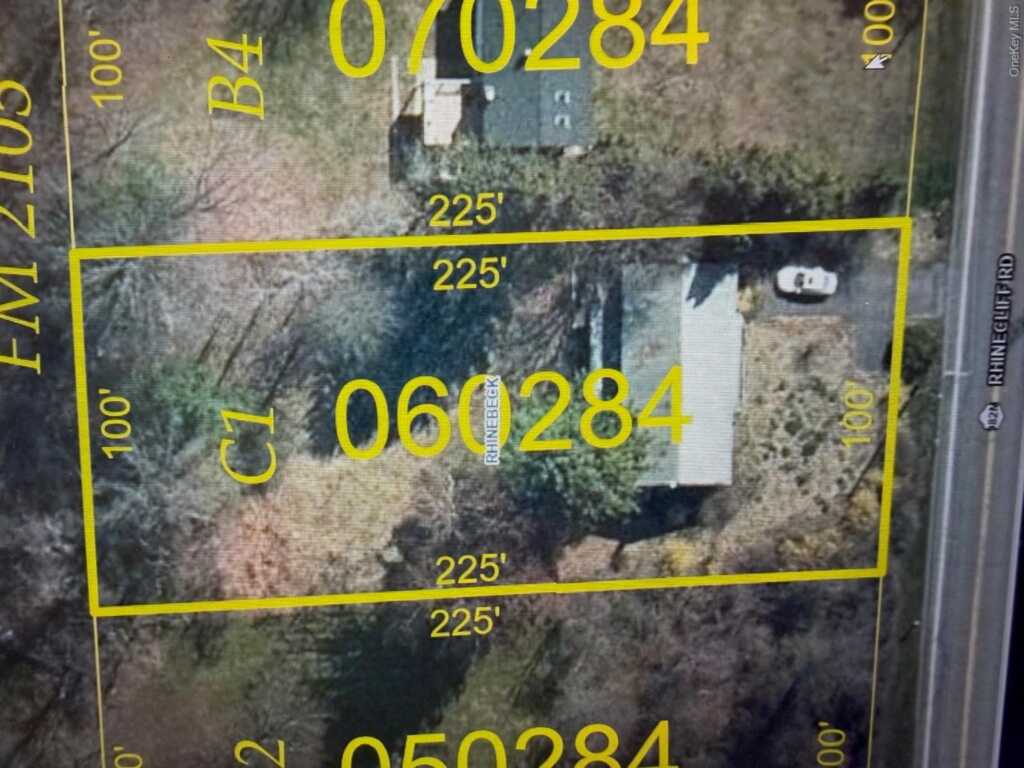 155 Rhinecliff Road, Rhinebeck, NY 12572 - Photo 3 of 13