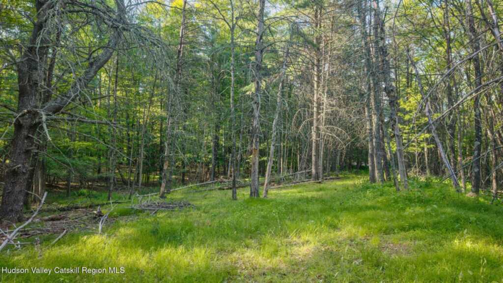 4533 Atwood Road, Stone Ridge, NY 12484 - Photo 48 of 50