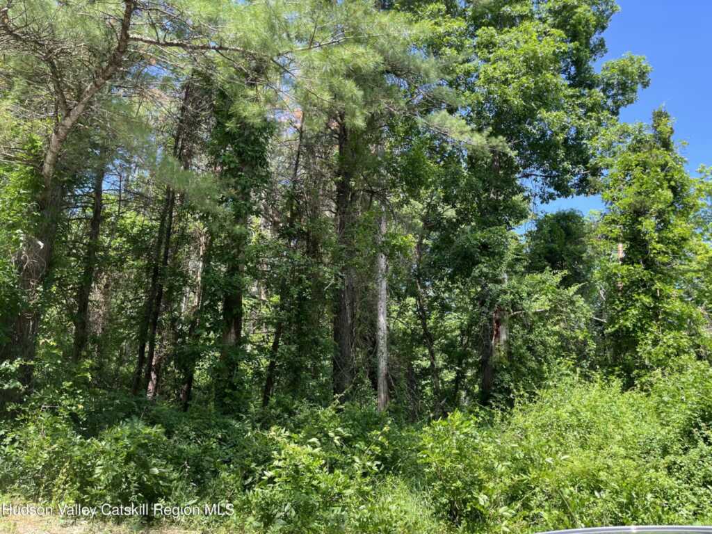 1145 Glasco Turnpike, Saugerties, NY 12477 - Photo 21 of 31