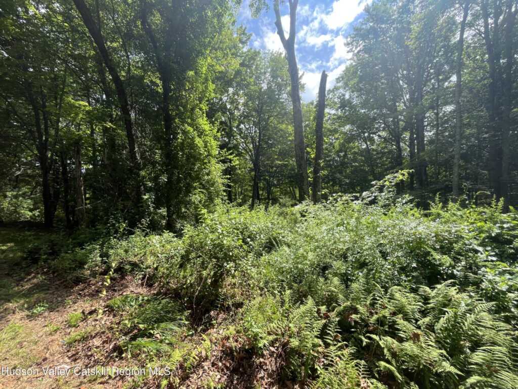 1145 Glasco Turnpike, Saugerties, NY 12477 - Photo 7 of 31