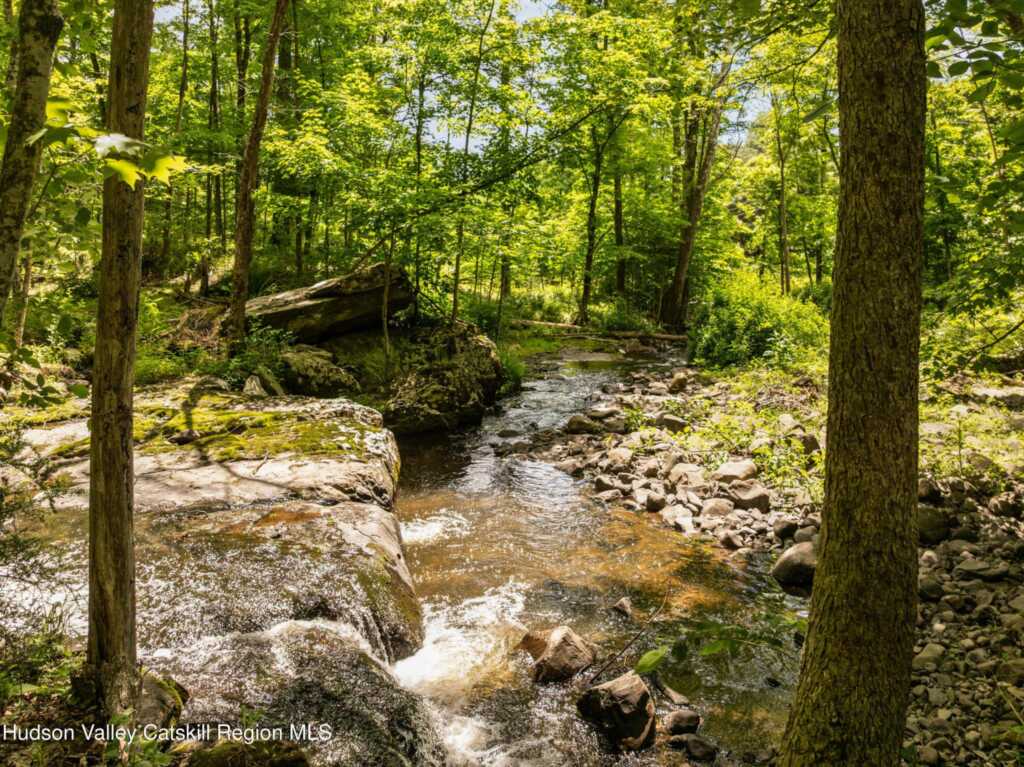 204 Ashokan Road, Kingston, NY 12401 - Photo 47 of 50