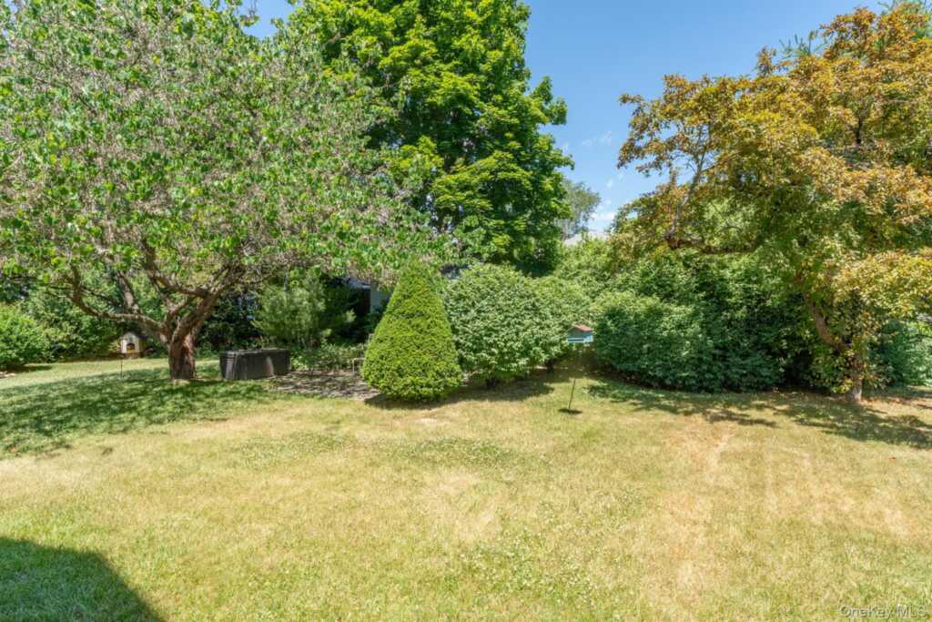 165 Clifton Avenue, Kingston, NY 12401 - Photo 42 of 50