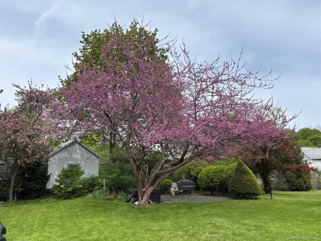 165 Clifton Avenue, Kingston, NY 12401 - Photo 48 of 50