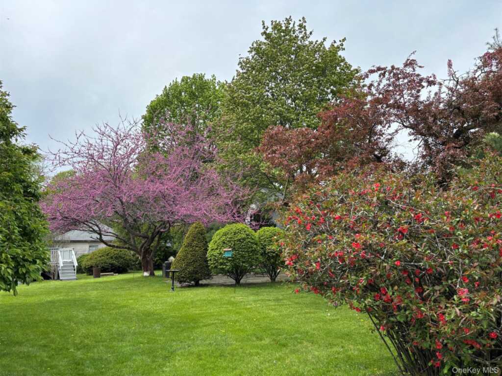 165 Clifton Avenue, Kingston, NY 12401 - Photo 49 of 50