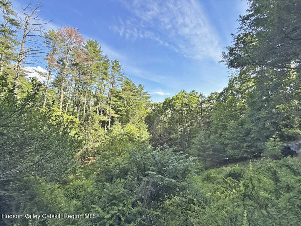 11 Nordic Drive, Woodstock, NY 12498 - Photo 15 of 44