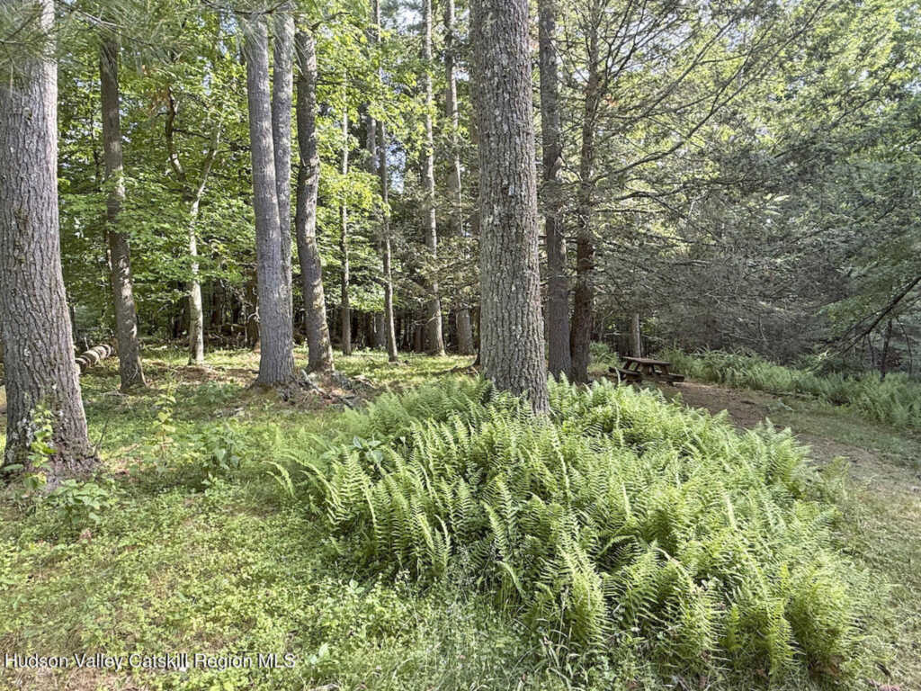 11 Nordic Drive, Woodstock, NY 12498 - Photo 35 of 44