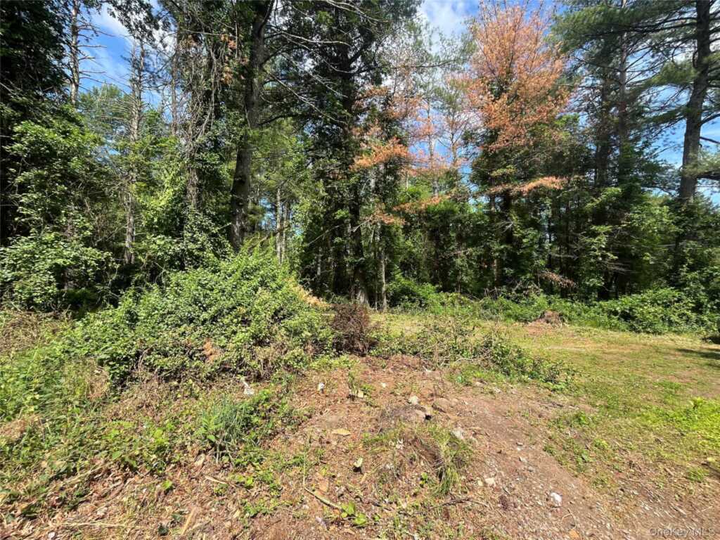 1145 Glasco Turnpike, Saugerties, NY 12477 - Photo 12 of 38