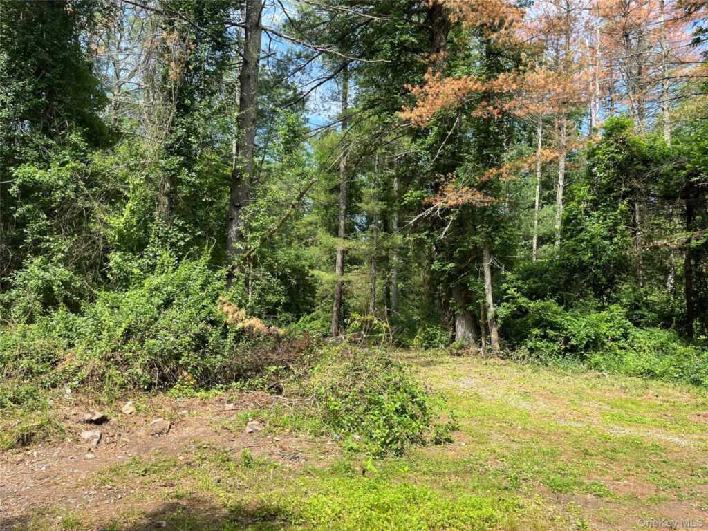 1145 Glasco Turnpike, Saugerties, NY 12477 - Photo 2 of 38