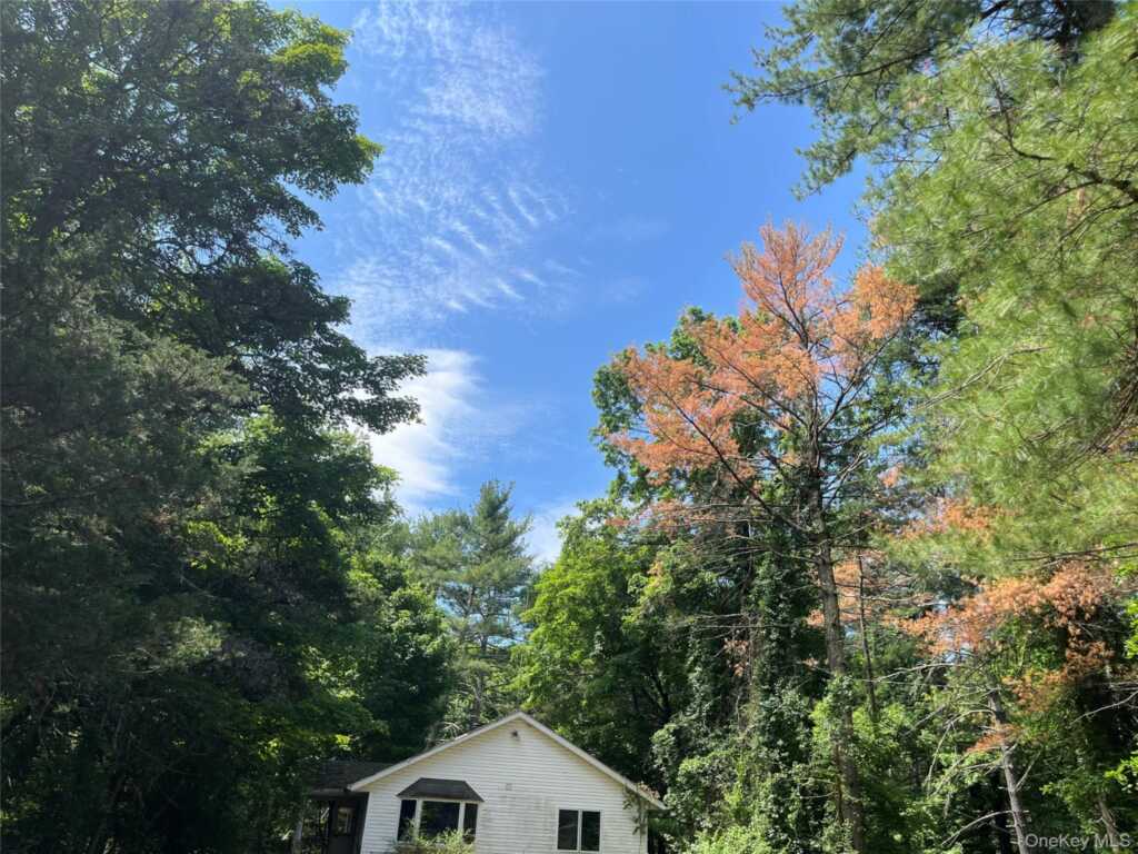 1145 Glasco Turnpike, Saugerties, NY 12477 - Photo 27 of 38