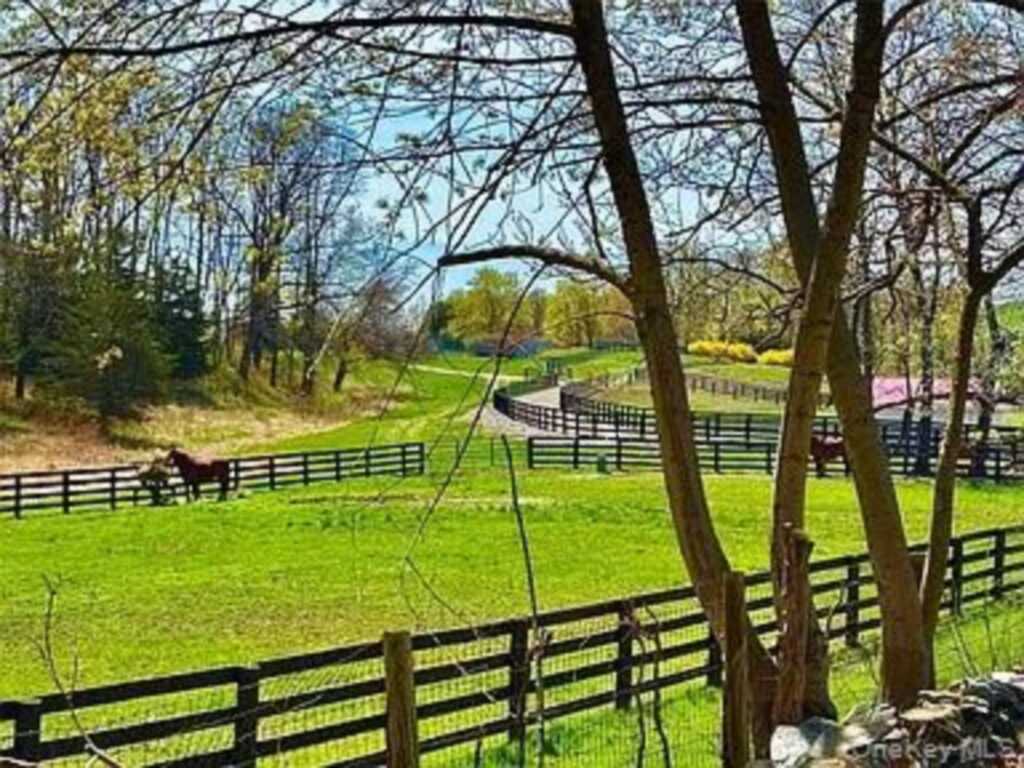 5 Espie Road, Rhinebeck, NY 12572 - Photo 19 of 21
