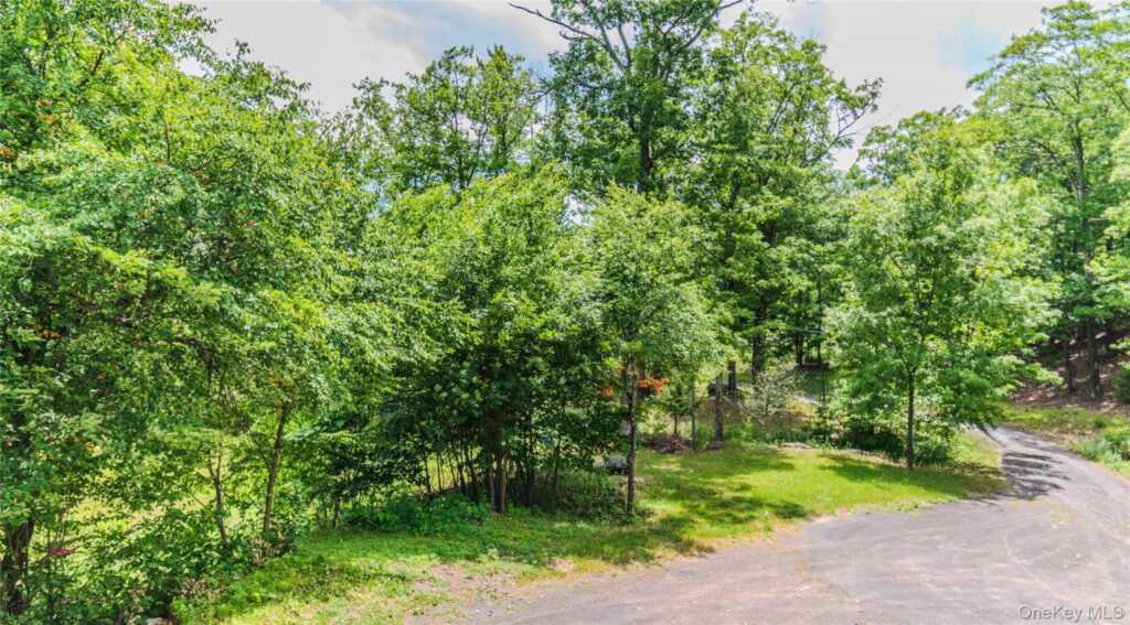 24 Tanis Hollow Road, Woodstock, NY 12498 - Photo 49 of 50