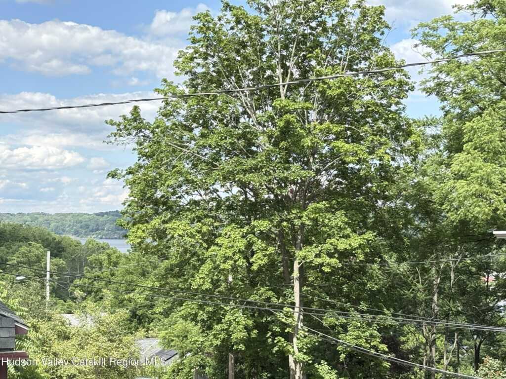 33 Valley Street, Saugerties, NY 12477 - Photo 34 of 37