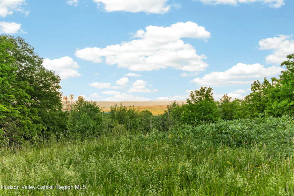 95 West Saugerties-Woodstock Rd Road, Woodstock, NY 12498 - Photo 2 of 50