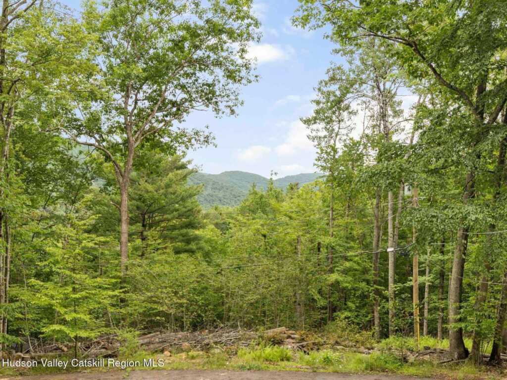 60 Muddy Brook Road, Phoenicia, NY 12464 - Photo 2 of 33