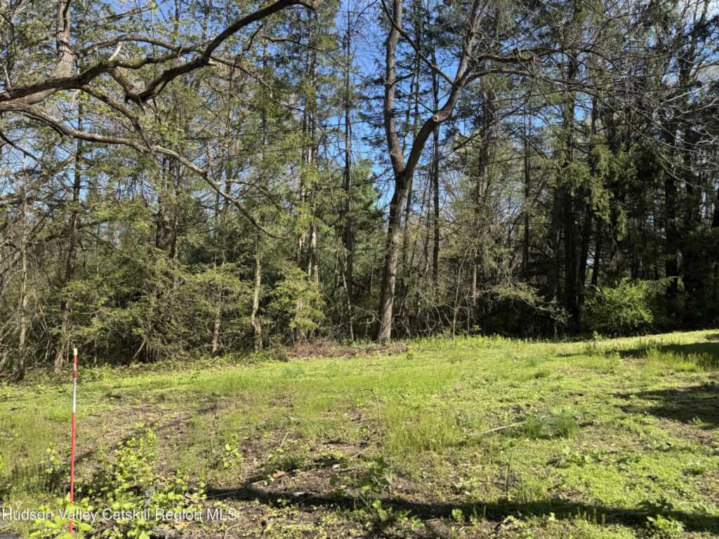 175 Dewitt Mills Road, Hurley, NY 12443 - Photo 7 of 10