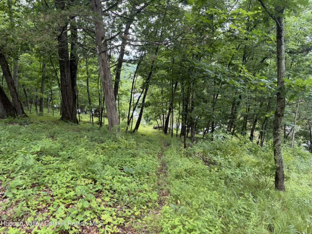 137 Plains Road, New Paltz, NY 12561 - Photo 10 of 14