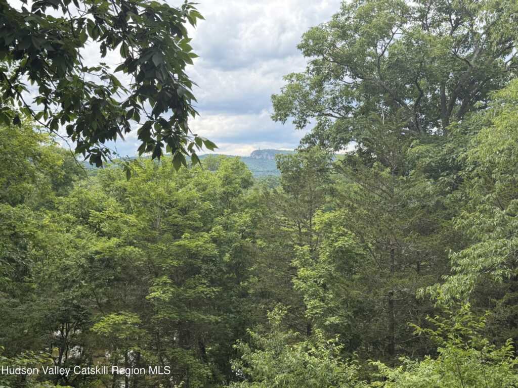 137 Plains Road, New Paltz, NY 12561 - Photo 5 of 14