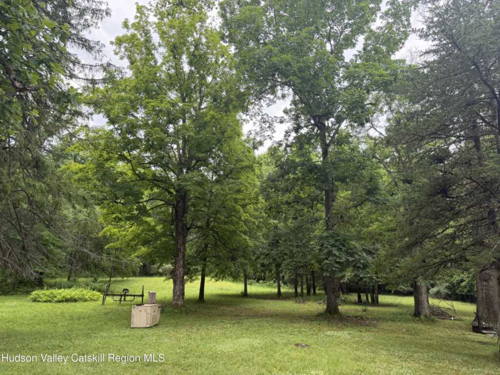 137 Plains Road, New Paltz, NY 12561 - Photo 7 of 14