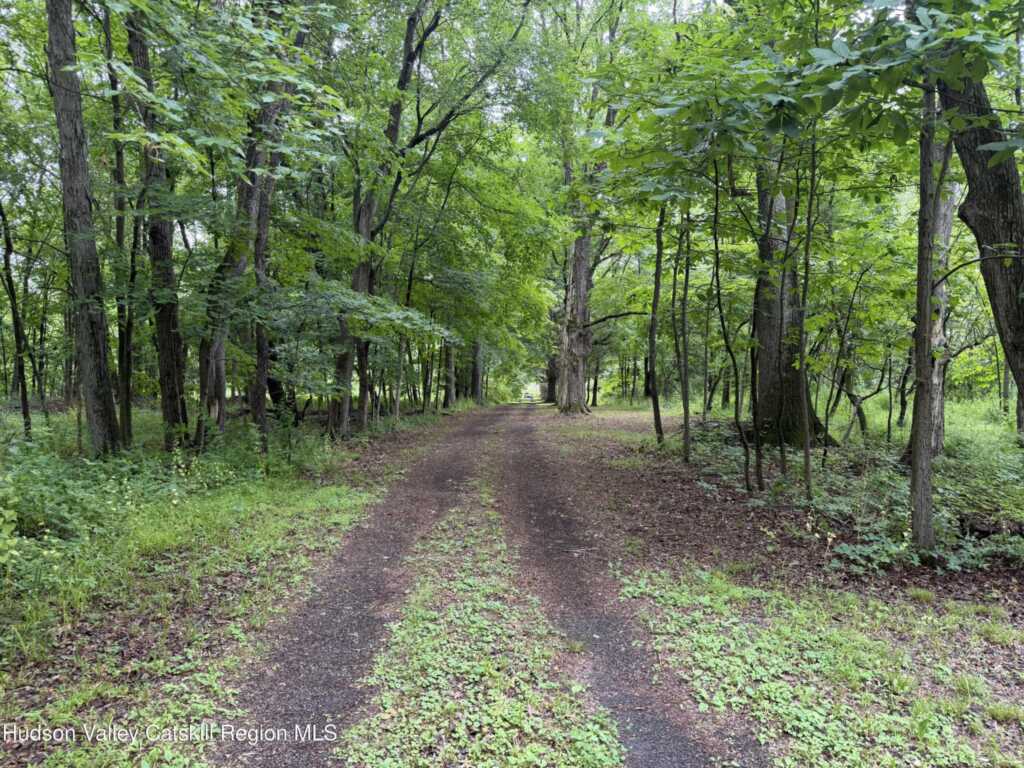 137 Plains Road, New Paltz, NY 12561 - Photo 9 of 14