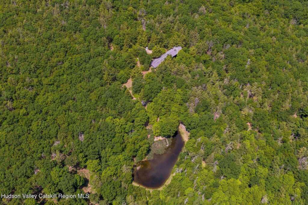 639 Saugerties Road, Woodstock, NY 12498 - Photo 15 of 50