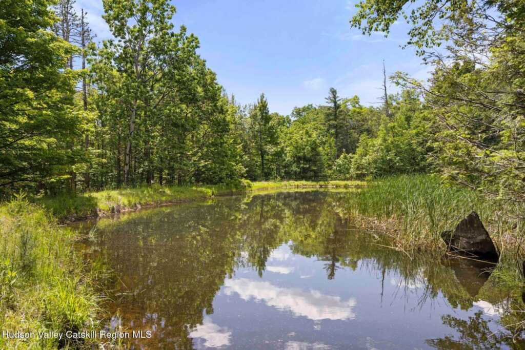 639 Saugerties Road, Woodstock, NY 12498 - Photo 44 of 50