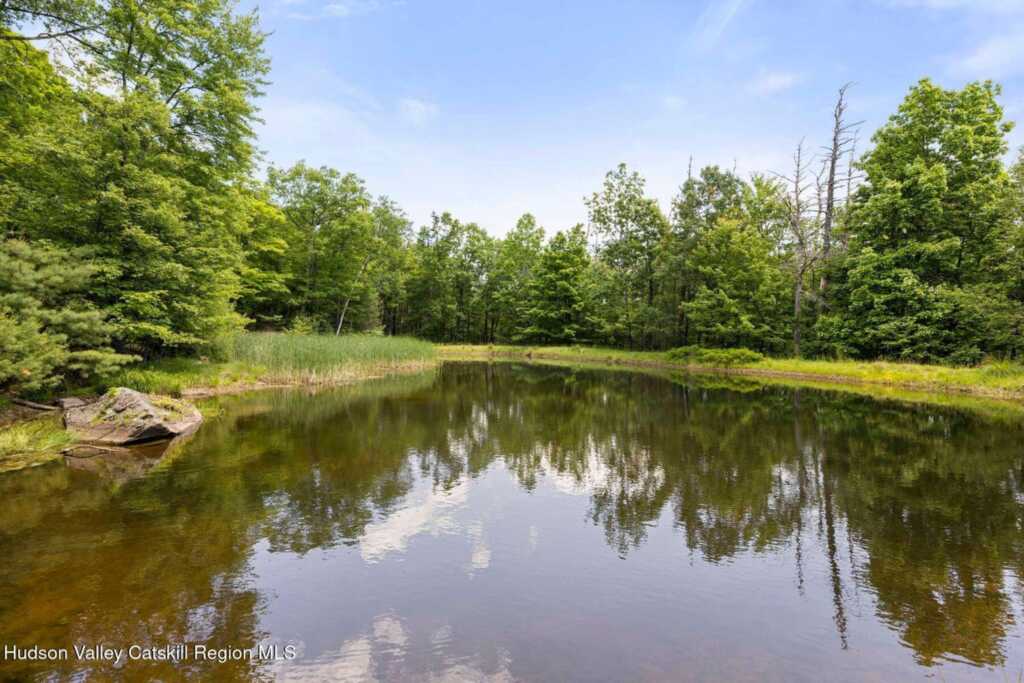 639 Saugerties Road, Woodstock, NY 12498 - Photo 45 of 50