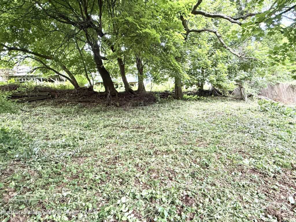 185 Pierpont Street, Kingston, NY 12401 - Photo 7 of 13