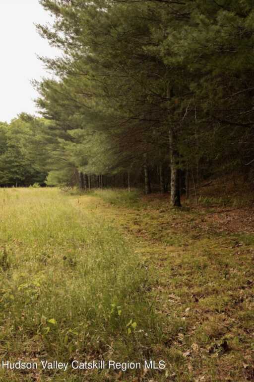 475 Ohayo Mountain Road, Woodstock, NY 12498 - Photo 41 of 48