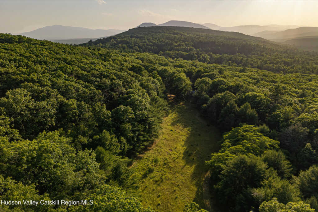 475 Ohayo Mountain Road, Woodstock, NY 12498 - Photo 45 of 48