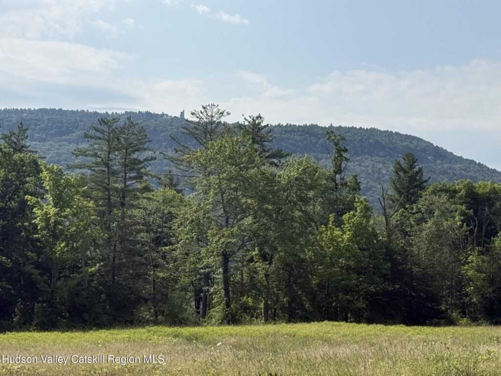 181-179 Rock Hill Road, High Falls, NY 12440 - Photo 2 of 15